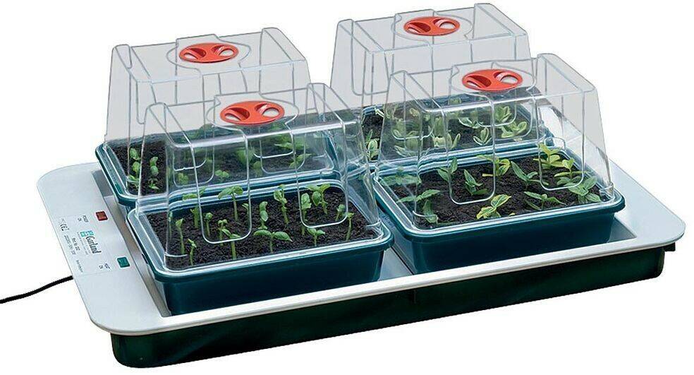 Garland Four Top Propagator Serres de jardin