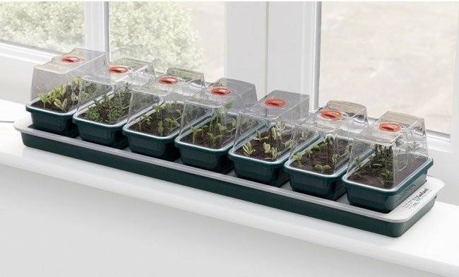 Garland Super 7 Windowsill Propagator Serres de jardin